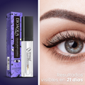 gid://shopify/MediaImage/24692563509342